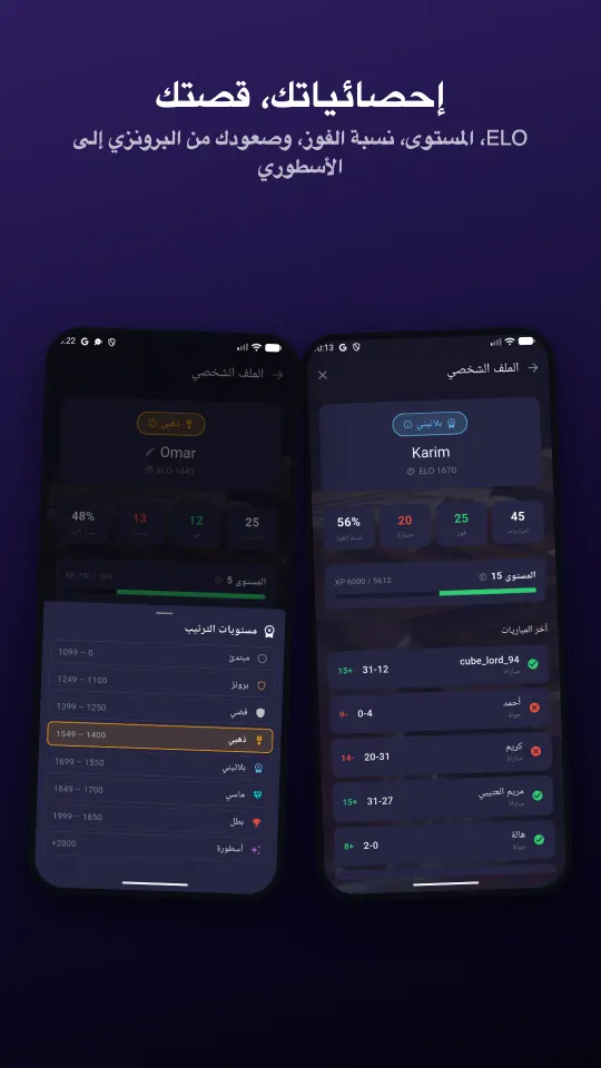 الملف الشخصي مع الرتبة والمستوى ونسبة الفوز