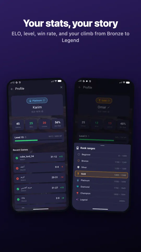 Profile with rank, level and win rate